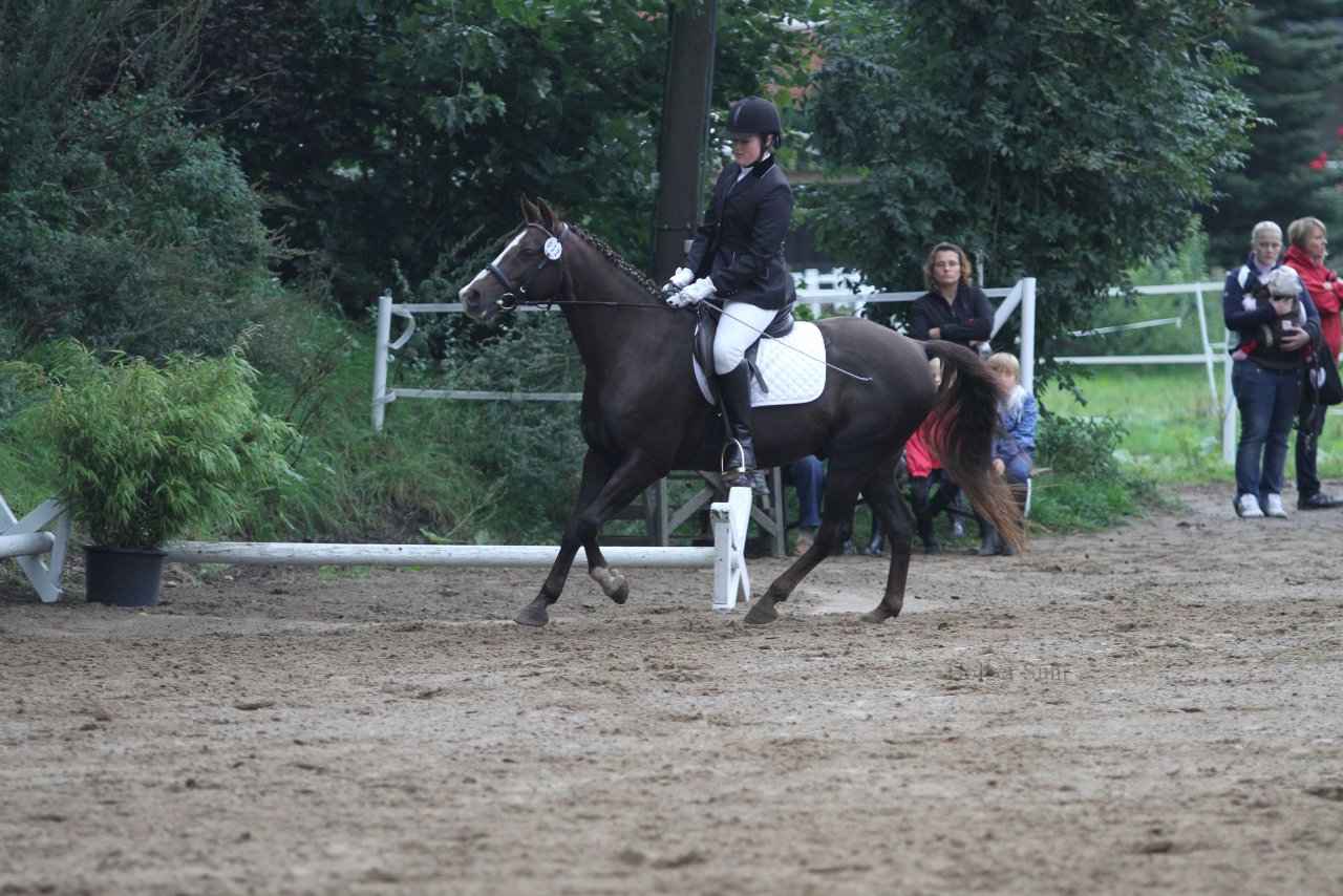 Bild 468 - WBO-Turnier am 18.9.11